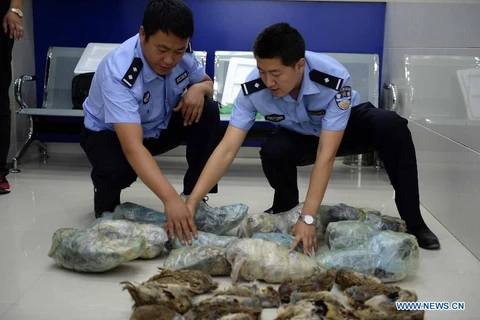 Hình ảnh cảnh sát Trung Quốc thu giữ động vật bị buôn bán bất hợp pháp. (Nguồn: News.cn)