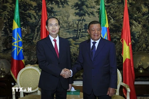 Chủ tịch nước Trần Đại Quang hội đàm hẹp với Tổng thống Mulatu Teshome. (Ảnh: Nhan Sáng/TTXVN)