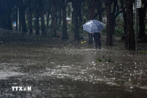 Một tuyến phố bị nhấn chìm trong nước lũ sau khi bão Mangkhut đổ bộ vào tỉnh Quảng Đông, Trung Quốc ngày 16/9. (Nguồn: THX/TTXVN) 