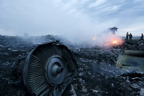 Hiện trường vụ máy bay MH17. (Nguồn: TASS)