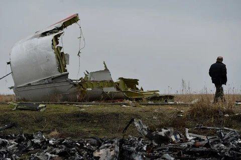 Xác máy bay MH17 bị bắn rơi. (Nguồn: Sputnik)