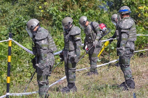 Binh sỹ Hàn Quốc rà phá bom mìn trong DMZ. (Nguồn: AFP)