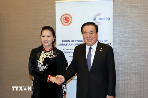 Chủ tịch Quốc hội Nguyễn Thị Kim Ngân hội kiến Chủ tịch Quốc hội Hàn Quốc Moon Hee Sang. (Ảnh: Trọng Đức/TTXVN)