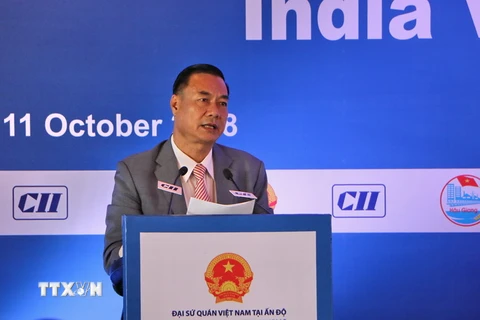 Chủ tịch Hội đồng Nhân dân tỉnh Hậu Giang Huỳnh Thanh Tạo phát biểu tại diễn đàn. (Ảnh: Huy Lê/TTXVN)