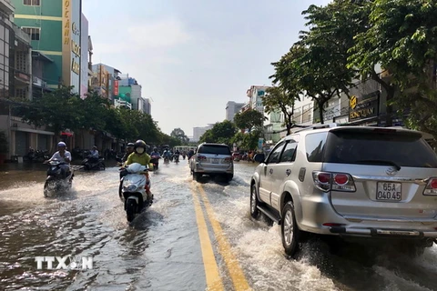 Tuyến đường Lý Tự Trọng, quận Ninh Kiều vẫn còn ngập sâu trong biển nước. (Ảnh: Thanh Sang/TTXVN)