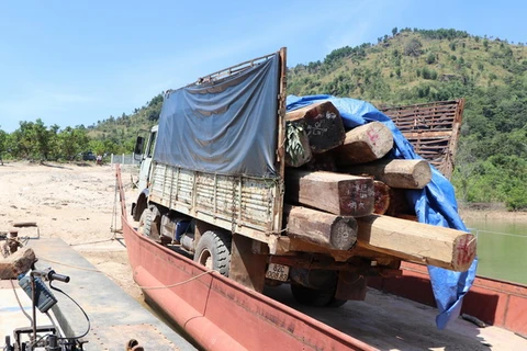 Tang vật của vụ vận chuyển gỗ lậu tại huyện biên giới Ia H’Drai. (Ảnh: Cao Nguyên/TTXVN)