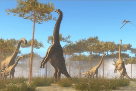 Loài khủng long này thuộc nhóm chân thằn lằn Sauropoda, ăn cỏ, 4 chân, có cổ và đuôi dài. (Nguồn: inquisitr.com)