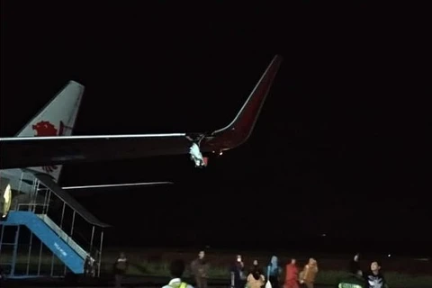 Va chạm khiến cánh trái máy bay bị hư hỏng nghiêm trọng. (Ảnh: Daily Mail)