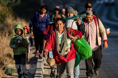 Người di cư từ các nước Trung Mỹ đổ về Tijuana gần biên giới giữa Mexico và Mỹ. (Nguồn: AFP/TTXVN)