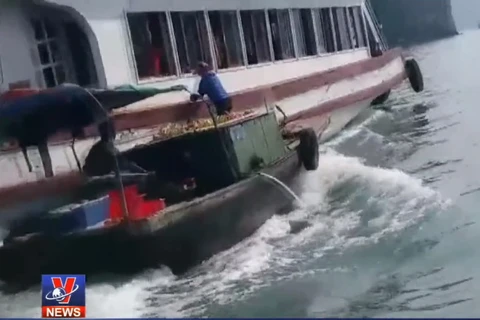 [Video] Cận cảnh vấn nạn đeo bám tàu du lịch trên Vịnh Hạ Long