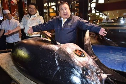 Cá ngừ được đấu giá lên tới 3,1 triệu USD. (Nguồn: AFP)