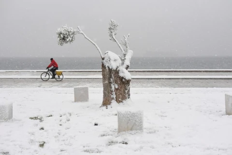 Tuyết rơi dày đặc ở Hy Lạp. (Nguồn: Reuters)