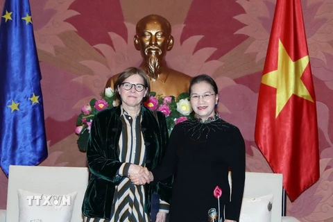 Chủ tịch Quốc hội Nguyễn Thị Kim Ngân tiếp bà Heidi Hautala, Phó Chủ tịch Nghị viện châu Âu. (Ảnh: Trọng Đức/TTXVN)