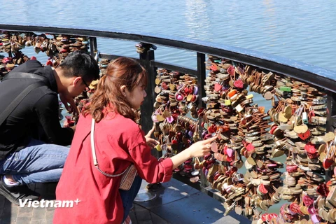 Ngày Valentine lãng mạn trên cầu Tình yêu tại Đà Nẵng 