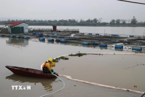 Nhân viên Trung tâm ứng phó sự cố môi trường Việt Nam đang xử lý thu gom dầu. (Ảnh: Mạnh Minh/TTXVN)