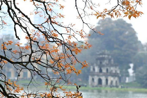 Trong ảnh: Vẻ đẹp quyến rũ của Hồ Gươm. (Ảnh: Minh Quyết - TTXVN)