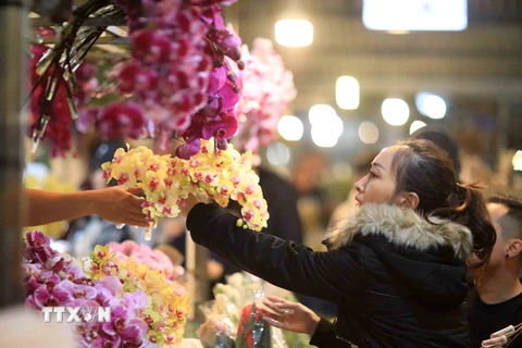 Các bạn trẻ trải nghiệm chợ hoa đêm Quảng Bá. (Ảnh: Nhật Anh/TTXVN)