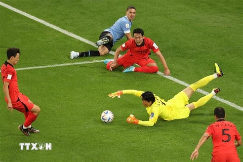 Pha cứu thua của thủ thành Hàn Quốc Kim Seung-gyu trong trận đấu. (Ảnh: AFP/ TTXVN)