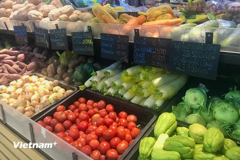 Giá rau xanh tại các chợ dân sinh và các cửa hàng, siêu thị tại Hà Nội bắt đầu giảm nhẹ, sau một thời gian dài duy trì ở mức cao. (Ảnh: Việt Anh/Vietnam+)