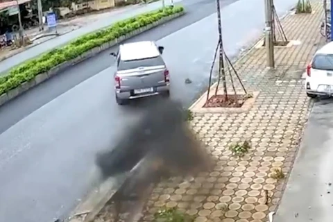 [Video] Tài xế lao xe vào dải phân cách sau khi đâm đổ cây trên vỉa hè