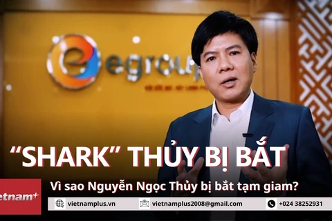 Vì sao "Shark" Thủy, ông chủ Trung tâm Anh ngữ Apax Leader bị bắt?