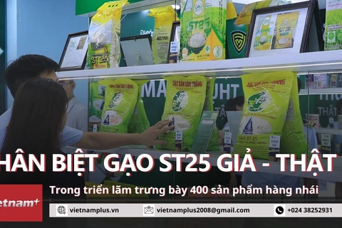 Cận cảnh những mặt hàng sữa, gạo và thực phẩm chức năng thật - giả