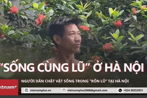 Cuộc sống chật vật của hơn 1.300 hộ dân Chương Mỹ trong “rốn lũ”