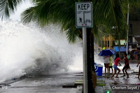 Siêu bão Man-yi đổ bộ vào đảo Catanduanes, Philippines ngày 16/11/2024. (Nguồn: AFP)