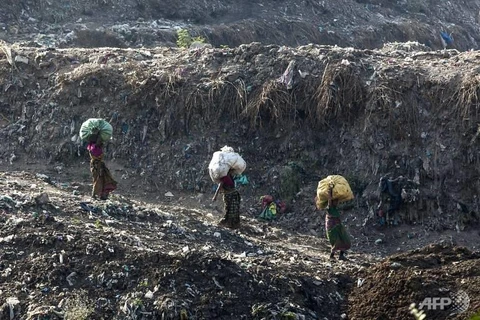 Bãi rác Ghazipur tiếp nhận khoảng 2.000 tấn rác mỗi ngày. (Ảnh: AFP)