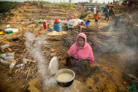 Người tị nạn Rohingya luôn phải đối mặt với nguy cơ thiếu thốn lương thực. (Ảnh: WFP)