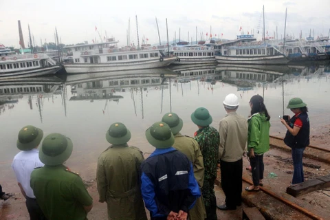 Lãnh đạo tỉnh Quảng Ninh kiểm tra tình hình neo đậu tàu thuyền tại cảng Cái Lân. (Ảnh: Đức Hiếu/TTXVN)