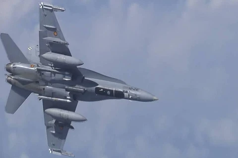 Máy bay chiến đấu F-18 của NATO. (Ảnh: Tass)