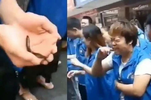 Nhân viên công ty Trung Quốc bị phạt ăn cá sống. (Ảnh: OddityCentral)