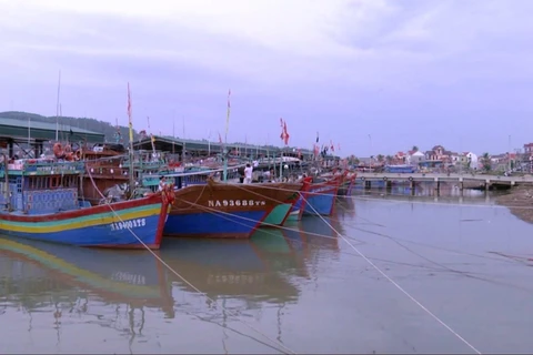 Tàu thuyền neo đậu tránh áp thấp nhiệt đới tại thị xã Hoàng Mai, tỉnh Nghệ An. (Ảnh: Tá Chuyên/TTXVN)