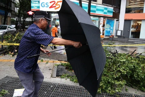 Lingling là cơn bão thứ 13 trong năm nay mà Hàn Quốc phải đối mặt. (Ảnh: Getty)