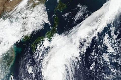 Bão Hagibis gây thiệt hại lớn khi đi vào bờ biển Nhật Bản