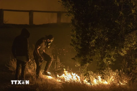 Người dân cố gắng khống chế các đám cháy rừng lan rộng tại khu vực Porter Ranch. (Ảnh: AFP/TTXVN)