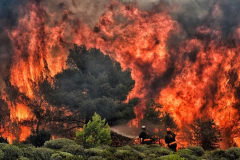 Cháy rừng tại Hy Lạp. (Ảnh: AFP/Getty)
