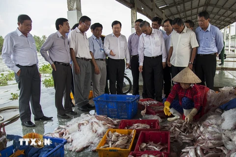 Phó Thủ tướng Trịnh Đình Dũng kiểm tra công tác khắc phục thẻ vàng IUU tại Kiên Giang. (Ảnh: Hồng Đạt/TTXVN)