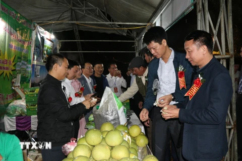 Các đại biểu tham quan các gian trưng bày bưởi Đại Minh tại Lễ hội. (Ảnh: Việt Dũng/TTXVN) 