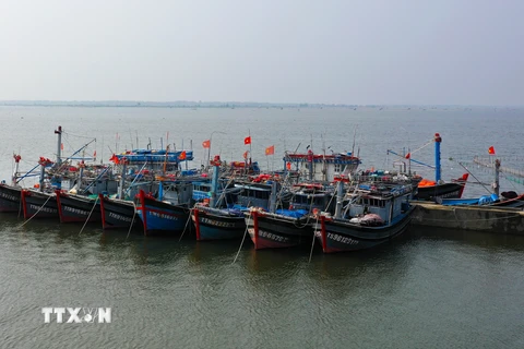 Tàu thuyền neo đậu tránh bão số 6 tại Thừa Thiên-Huế. (Ảnh: Hồ Cầu/TTXVN)