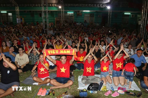 Đông đảo cổ động viên và người hâm mộ tại Sân vận động Hoa Lư vui mừng khi Đội tuyển Việt Nam ghi bàn vào lưới Đội tuyển UAE. (Ảnh: Thanh Vũ/TTXVN)