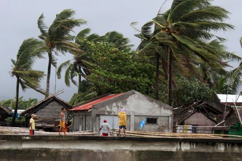 Bão Kammuri càn quét qua Philippines. (Ảnh: EPA)