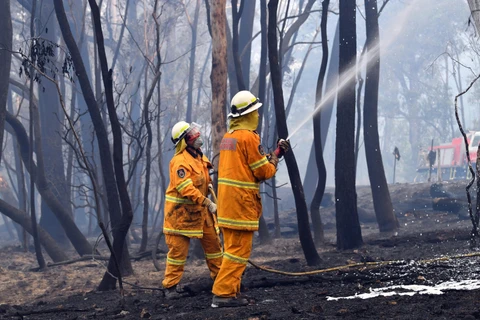 Australia đang phải "gồng mình" trước tình hình cháy rừng nghiêm trọng. (Ảnh: AFP/TTXVN)