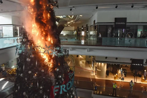 Người biểu tình đốt cây thông Giáng Sinh.