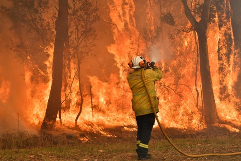 Lực lượng cứu hỏa nỗ lực dập lửa cháy rừng tại Central Coast. (Ảnh: AFP/ TTXVN)
