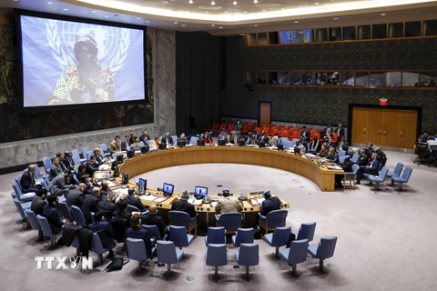 Một phiên họp của Hội đồng Bảo an Liên hợp quốc. (Ảnh: THX/TTXVN)