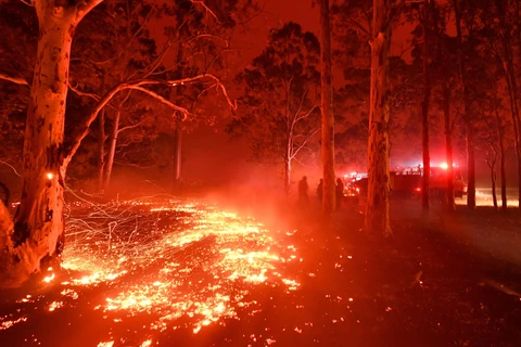 Cháy rừng tại Australia. (Ảnh: AFP/TTXVN)