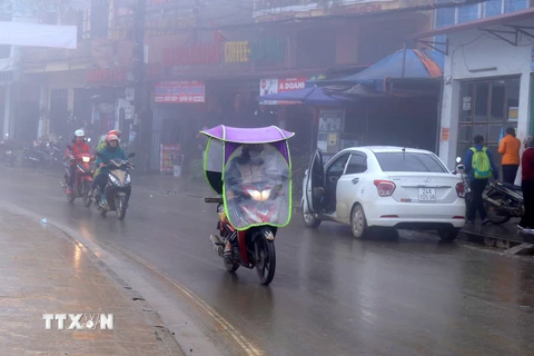 Không khí lạnh gây mưa rét tại Lào Cai. (Ảnh: TTXVN)