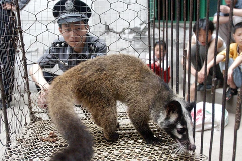 Một khu chợ động vật hoang dã tại Vũ Hán. (Ảnh: AFP)
